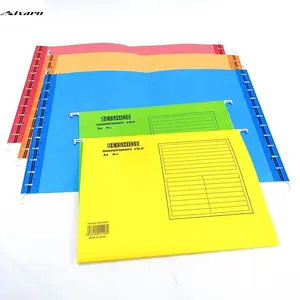 Maatwerk Logo Kleuren Vullen Producten Document Bestand Organiseren Bestand Ophanging A4 Papier Opknoping Bestand Map