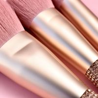 Premium 10 pièces corail rouge reine maquillage ensemble doux cheveux synthétiques ombre à paupières fond de teint outils de beauté pour visage lèvres maquillage complet