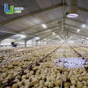 Fidji Îles <span class=keywords><strong>Salomon</strong></span> Structure en acier préfabriqué personnalisé populaire ferme avicole poulailler - Product Image 2