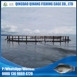 Daurade voir basse cage de pisciculture - Product Image 4