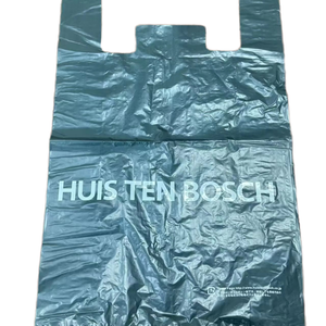 <span class=keywords><strong>Sac</strong></span> en T-shirt en HDPE transparent personnalisé avec soufflet latéral, impression en gravure, logo personnalisé pour utilisation en supermarché, modèle de marque Hualong jetable - Product Image 3