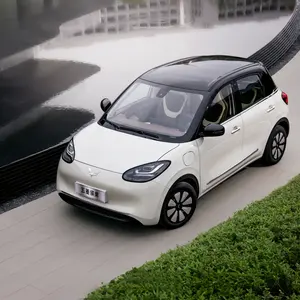 新款五菱宾果远程新能源汽车2023节能新能源汽车