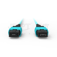 Kabel Breakout 24 Fiber OM3 MPO MPO-24 ke 2 x MPO-12 1m Kabel Patch Multimode untuk Pusat Data
