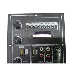 Amplificatore per Subwoofer Classe D da <span class=keywords><strong>100</strong></span> Watt, Scheda Ricevitore e Amplificatore, Vendita Calda - Product Image 3