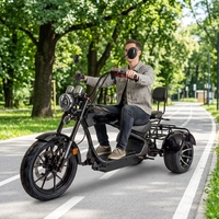 EEC COC 2000W Arazi Tipi Şişman Lastikli 3 Tekerlekli Elektrikli Scooter Yetişkinler İçin Chopper Citycoco Sokakta Kullanıma Uygun Yüksek Performanslı E-Trike 2 Kişilik