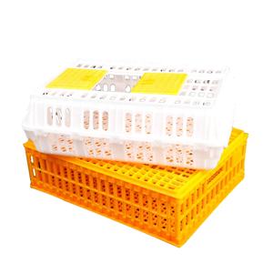 Moule d'injection plastique professionnel pour caisse de transport de volaille, moule d'injection de pièces en plastique de haute qualité pour <span class=keywords><strong>cage</strong></span> à poulets - Product Image 4