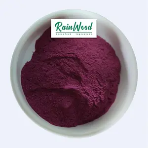 Free Sample Black Elderberry Extract in stock Elderberry Extract Powder