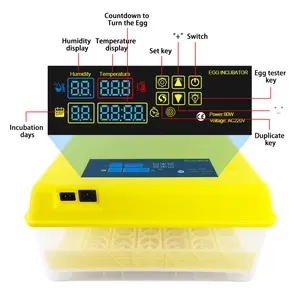 Industrial Chicken Bacteria Hatchery And Price Baby Premature Controller For Farm Large Capacity Egg Poultry Machine Incubator