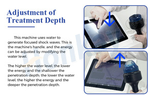 Ondes de choc électromagnétiques focalisées professionnelles pour animaux, pour soulager la douleur, améliorer la mobilité et lutter contre l'inflammation - Product Image 5