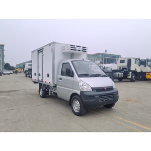 Camioneta Refrigerada Pequeña Manual <span class=keywords><strong>de</strong></span> Gasolina Wuling Nueva <span class=keywords><strong>de</strong></span> Alta Calidad en Venta - Product Image 3