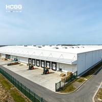 Estructura de Acero Prefabricada de Alta Resistencia Q355B, Almacén Multifuncional de Gran Espacio, Edificio de Almacenamiento Industrial