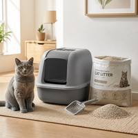 Özel Ekolojik Dostu Sodyum Bentonit Kedi Kumu Topaklanan Koku Giderici Ultra Düşük Tozlu 5kg Hızlı Topaklanan Özel Etiket