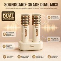 DIVOOM QINGLUAN II Système de karaoké de luxe pour la maison avec ensemble d'enceintes, deux microphones sans fil, micro intégré, sortie 10-50W, mixage analogique