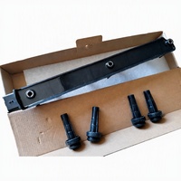 OEM 245101 2501003 21597716-4 Auto Engine Common Rail EW10A Ignition Coil Assembly for DONGFENG AX7 2.0 307 407 807 C4 C5