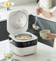 Cuiseur à riz intelligent personnalisé en usine fonction faible teneur en sucre pour ménage hôtel extérieur électrique en plastique produit de cuisine OEM/ODM