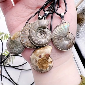 Conchiglia di pietra grezza minerale minerale esemplare naturale conchiglia ciondolo fossile collana per uomo <span class=keywords><strong>donna</strong></span> - Product Image 3