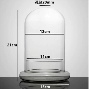 Klares Glas-<span class=keywords><strong>Terrarium</strong></span> Pflanzgefäß mit Kuppel, Luftlöchern & Basis für Gartenpflanzen - Handgeblasen, Handgefertigt, Umweltfreundlich - Product Image 6
