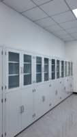 Armario para utensilios de laboratorio con rejilla de secado desmontable, estructura de acero anticorrosión, para laboratorio biológico y microbiológico.