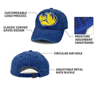 Gorro de Béisbol de Diseño Personalizado de Alta Calidad con Logotipo Personalizado, 6 Paneles, Visera Curva, Impresión 3D, Algodón Lavado Vintage