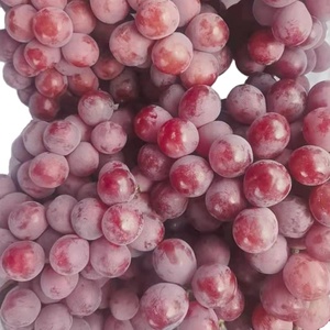 Fruits du raisin naturel en forêt, 2 pièces, égyptien doux, <span class=keywords><strong>de</strong></span> haute qualité - Product Image 2
