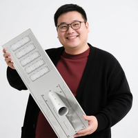 Lampe de rue à énergie solaire tout-en-un Lumière à led super lumineuse Réverbères à led solaires intégrés pour l'extérieur tout-en-un