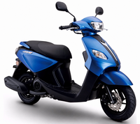 Scooter à essence 110CC, 4 temps, refroidissement par air, CVT, frein à disque et à tambour, 80 km/h, démarrage électrique, STAHO FH110T-JG, cyclomoteur pour adultes