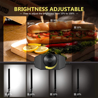 Kit d'éclairage vidéo LED professionnel 3 pièces pour studio photo et tournage vidéo
