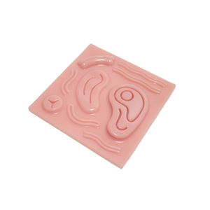Almohadilla <span class=keywords><strong>de</strong></span> entrenamiento <span class=keywords><strong>de</strong></span> modelo anatómico 3D práctica <span class=keywords><strong>de</strong></span> acero inoxidable <span class=keywords><strong>de</strong></span> silicona con <span class=keywords><strong>heridas</strong></span> para entrenamiento <span class=keywords><strong>de</strong></span> estudiantes <span class=keywords><strong>de</strong></span> medicina - Product Image 1
