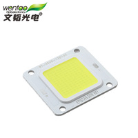 Precio al por mayor: Fuente de luz LED COB 4640 de 50W 30V para inundación y jardín, eficiente, con chips Epistar y Sanan