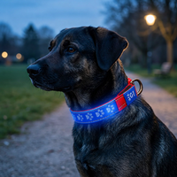 Collier lumineux pour chien à LED, réglable, en silicone souple, réfléchissant, pour la promenade en extérieur