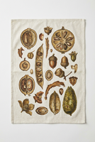 Essuie-mains de cuisine en coton à motif de graines en coupe transversale, style botanique, pour une cuisine saine