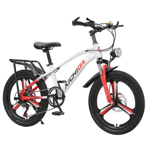 Mtb sepeda balap sepeda gunung, ban sepeda kualitas tinggi Wild dewasa Man Downhill Bicicleta Bmx 20 inci aro 26 "29, rem cakram sepeda besar salju