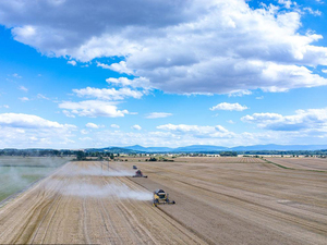 120hp農業用ミニコンバインハーベスター4LZ-7.0Zトウモロコシ小麦用 - Product Image 6