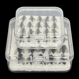 Meilleure vente ensemble d'appâts de pêche <span class=keywords><strong>à</strong></span> la <span class=keywords><strong>mouche</strong></span> leurres d'insectes artificiels en silicone souple et en caoutchouc pour les espèces cibles de poissons d'eau douce et de <span class=keywords><strong>saumon</strong></span> - Product Image 5