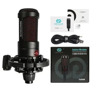 Microphone professionnel de diffusion et diffusion en direct, équipement de musique de studio, enregistrement, karaoké, vidéo à condensateur, bm T2058