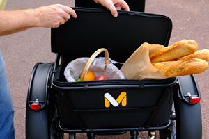 מכירה חמה 48v מנוע כפול הספק גבוה 3 גלגל מטען חשמלי תלת אופן פתוח השעיה 2 סוללות 20 אינץ 'שומן - Product Image 3