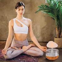 Penjualan Pabrik Grosir Terlaris Diffuser Essentiablue Pinkil Lampu LED Warna-warni Kostum Pesta 12 Rumah Tangga Volcano 24 Lw