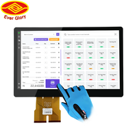 Módulo de Pantalla Táctil LCD TFT de 15.6 y 19 Pulgadas con Interfaz LVDS, Pantalla Táctil ILITEK PCAP para Punto de Venta Minorista, Kiosco, OEM