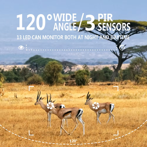 Usine PR2000 58MP meilleures caméras <span class=keywords><strong>de</strong></span> <span class=keywords><strong>surveillance</strong></span> sans fil extérieures OEM caméra <span class=keywords><strong>de</strong></span> <span class=keywords><strong>chasse</strong></span> sur sentier <span class=keywords><strong>de</strong></span> vision nocturne étanche <span class=keywords><strong>pour</strong></span> <span class=keywords><strong>la</strong></span> faune - Product Image 5