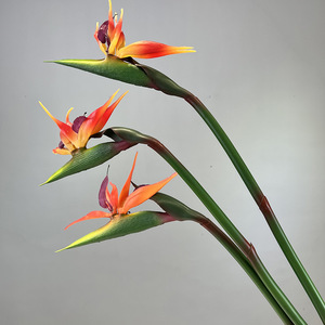 BF-BP03 Bloom Floral, <span class=keywords><strong>Flores</strong></span> Tropicales Artificiales <span class=keywords><strong>de</strong></span> Alta Calidad <span class=keywords><strong>de</strong></span> 85 cm, PVC Suave, Flor <span class=keywords><strong>de</strong></span> Ave del Paraíso Artificial con Tacto Real - Product Image 5