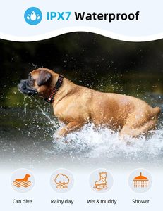 <span class=keywords><strong>Collar</strong></span> de Adiestramiento para Perros y Gatos Ipetdog IT685, Control Remoto con Alcance de 1640 pies, Resistente al Agua IP67, Recargable, de Aluminio y Plástico, para el Comportamiento Inteligente de Mascotas - Product Image 6