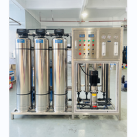 Purificateur STK 1000L/H en acier inoxydable, machine à eau alcaline multifonctionnelle, filtration par osmose inverse, pompe PLC
