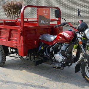 Tricycle à moteur 200 CC à 3 roues avec benne de chargement pour adulte - Meilleures ventes - Product Image 5