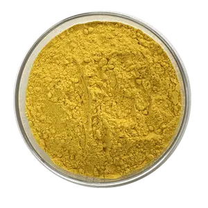 Cápsulas de berberina HCL en polvo, extracto de raíz de Coptis Chinensis, 97%