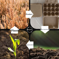 Cartons à œufs en pâte de papier biodégradable et écologique (4-30 unités) pour œufs de poule - Emballage alimentaire pliable et sûr