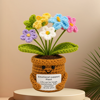 Cadeau pour enseignant : Plante en crochet avec plaque personnalisée, tournesol, décoration de bureau pour l'appréciation des enseignants