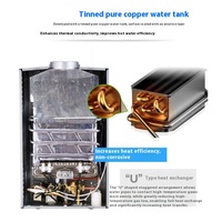 Chauffe-eau instantané portable au gaz (gaz naturel ou GPL) pour chauffage et douche chaude, sans réservoir, au propane ou au butane