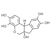 Solution de coloration à l'hématoxyline de haute pureté Koolbio pour la histologie et la coloration des nucléus