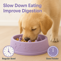 Gamelle pour chien en silicone de qualité alimentaire, automatique, élégante, à alimentation lente, anti-étouffement, antidérapante, avec design labyrinthe interactif pour une alimentation saine