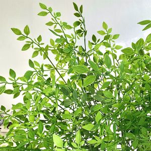 Rama de Planta Artificial Nandina Domestica de Qingyu Chronicle, 100cm-200cm, Decoración de Interiores para el Hogar, Decoración para Bodas - Product Image 4